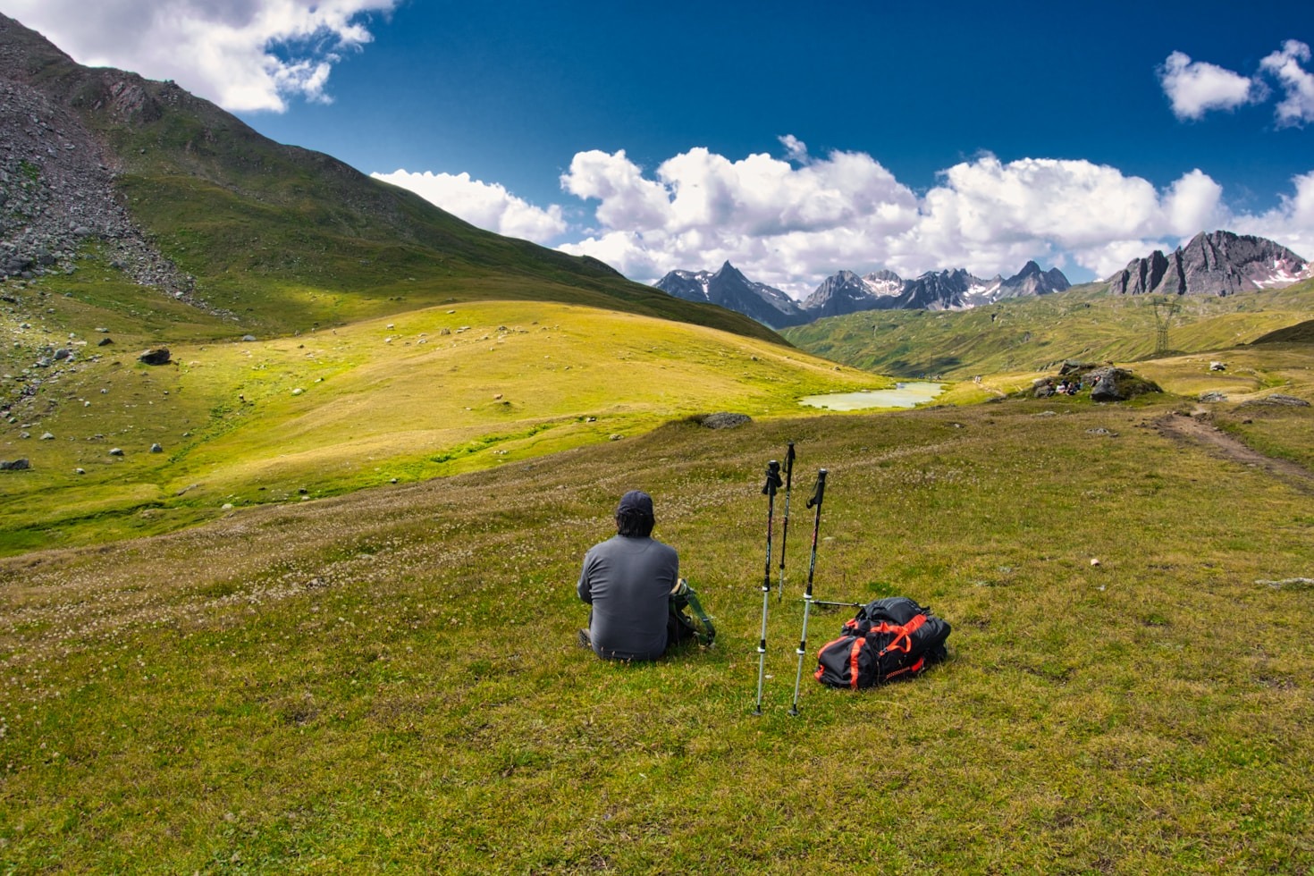 Incontri inaspettati tra persone e natura